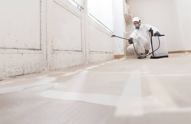 Post-remediation clearance in Luke Air Force Base